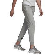 Spodnie adidas Essentials Big Logo Single