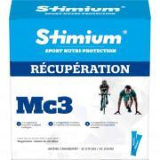 32 pałeczki do odzyskiwania danych Stimium MC3